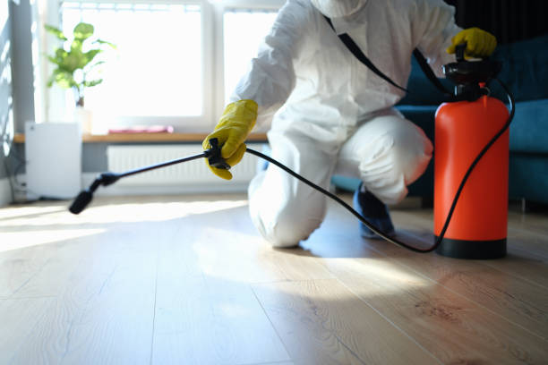 Reliable Odor Removal contractor in Birmingham, MI by Trauma Clean Pros